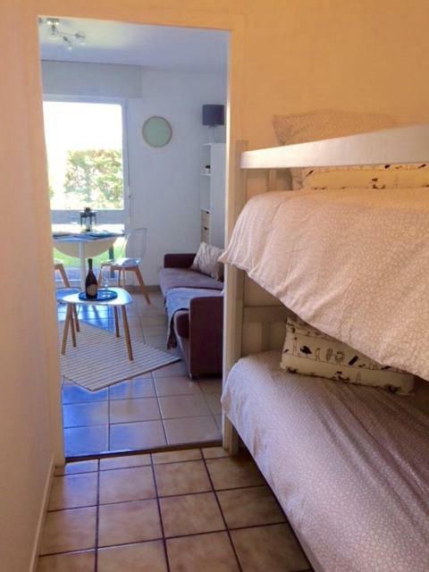 Apartamento Les Goelands Piscine Et Jardin *
